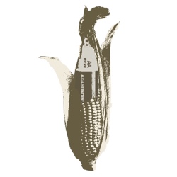 Ethanol Energy Ethanol Energy